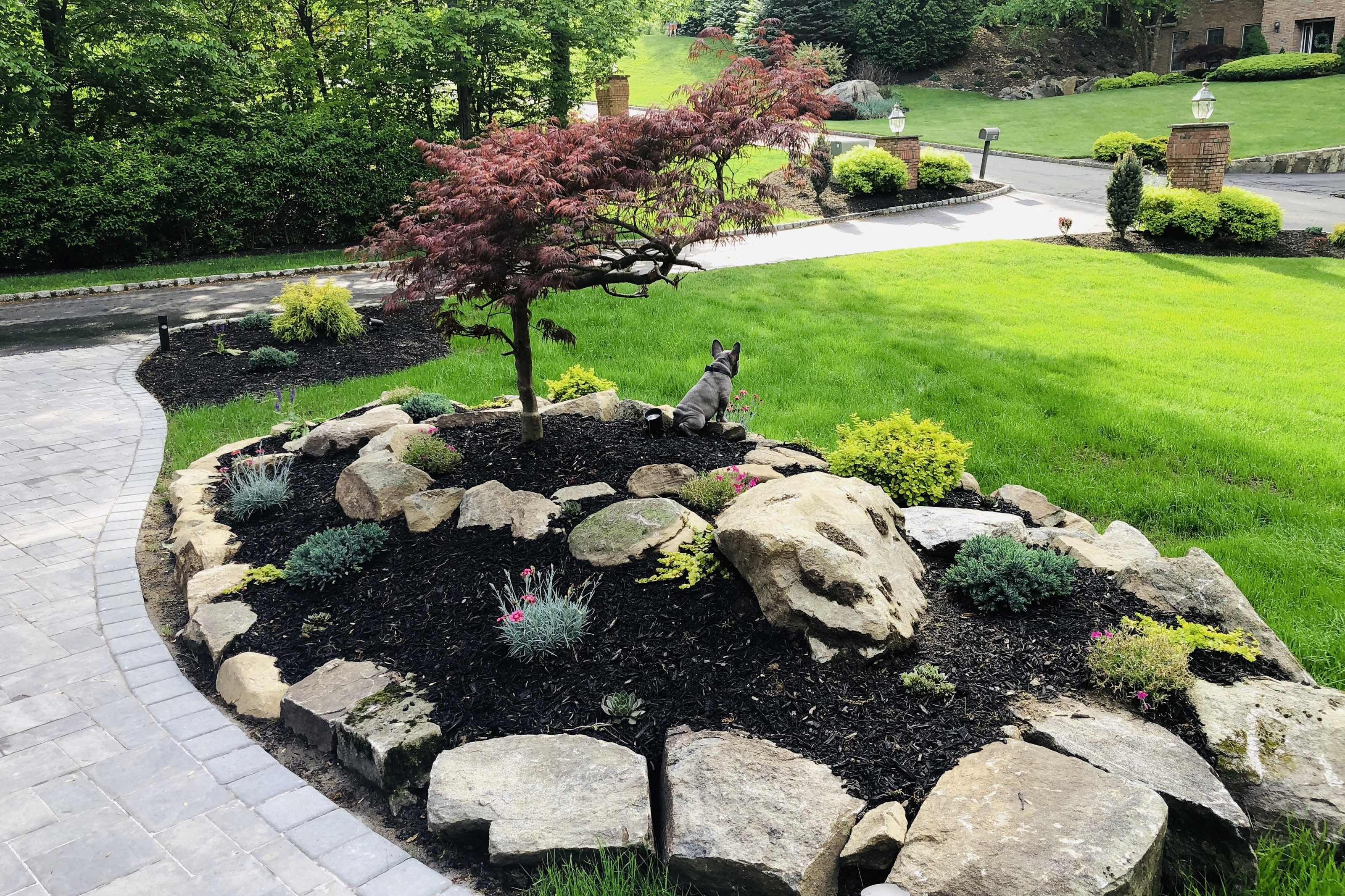 Landscaping work in lawn