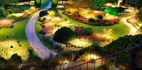 All About Landscape and Lighting