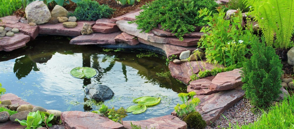 water features in backyard