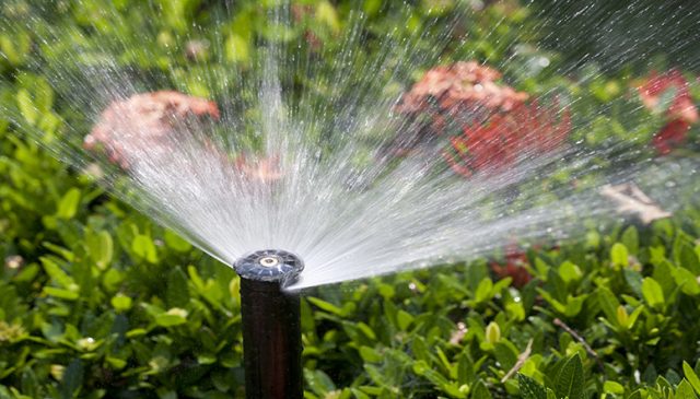 Irrigation Services Help You Save Water And Money In The Landscape