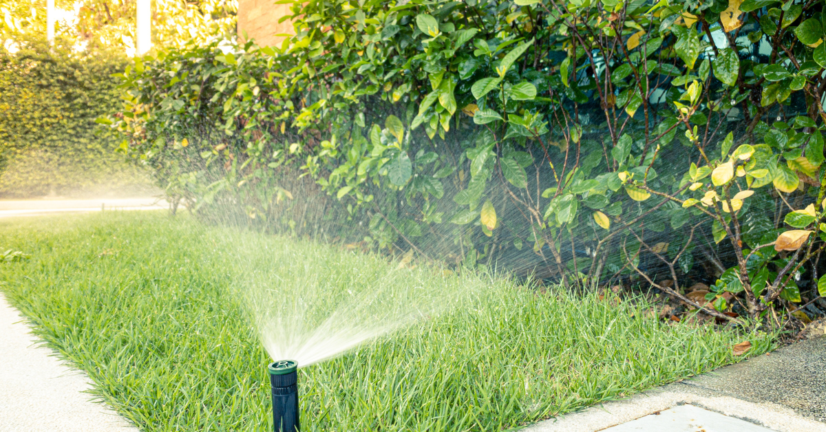 sprinkler and irrigation services