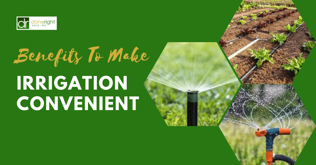 Top 5 Drip irrigation benefits