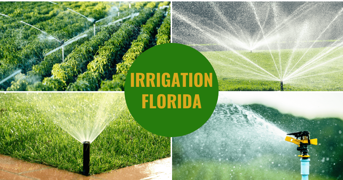 Irrigation Florida