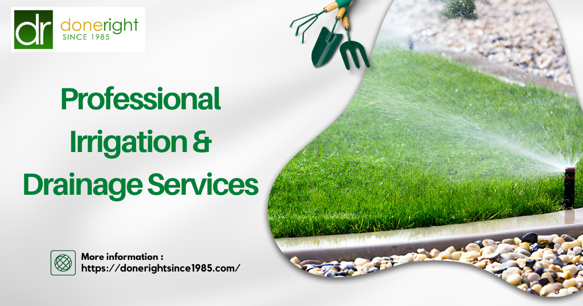 Professional Irrigation & Drainage Services